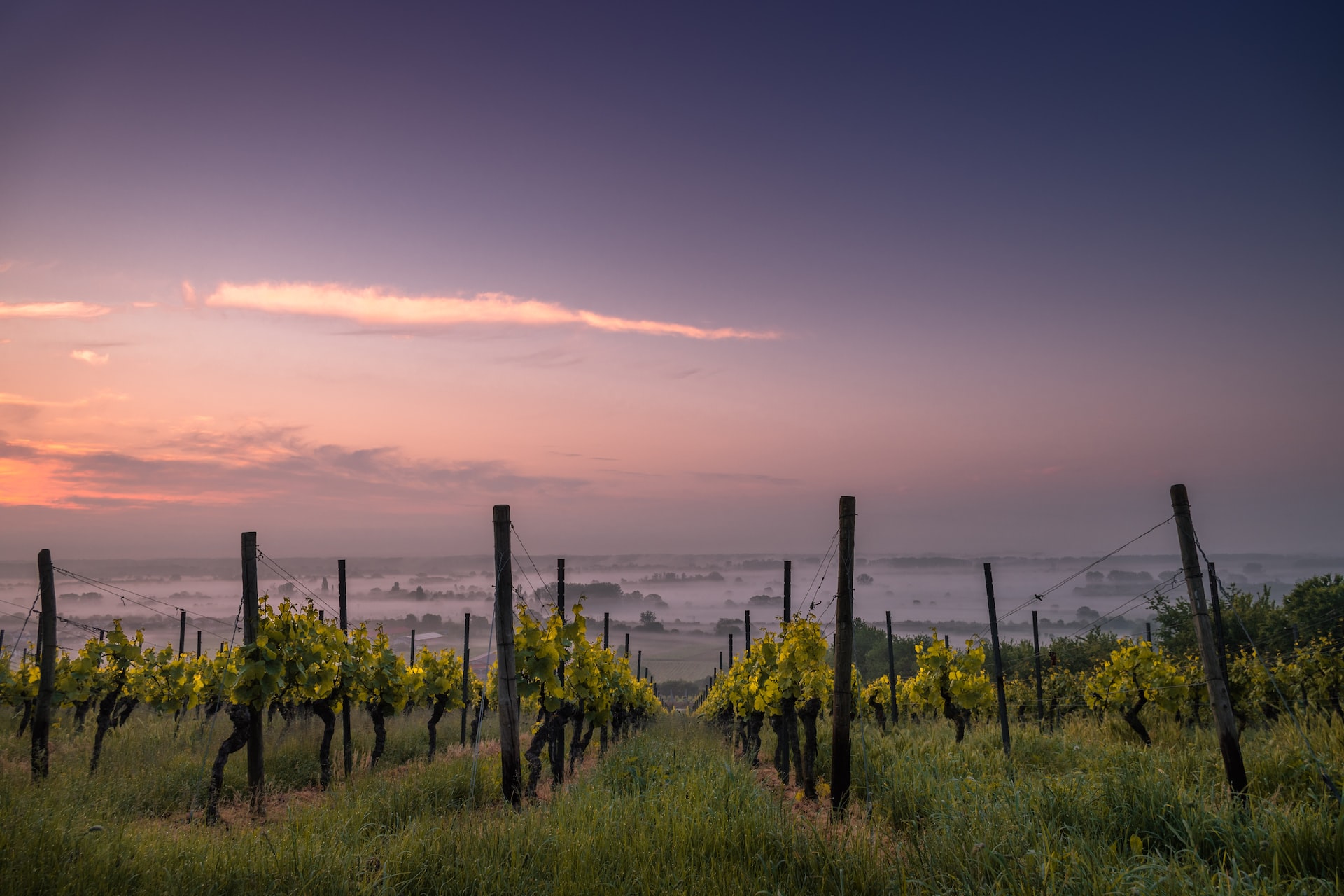 The Best Things to do in Bunbury