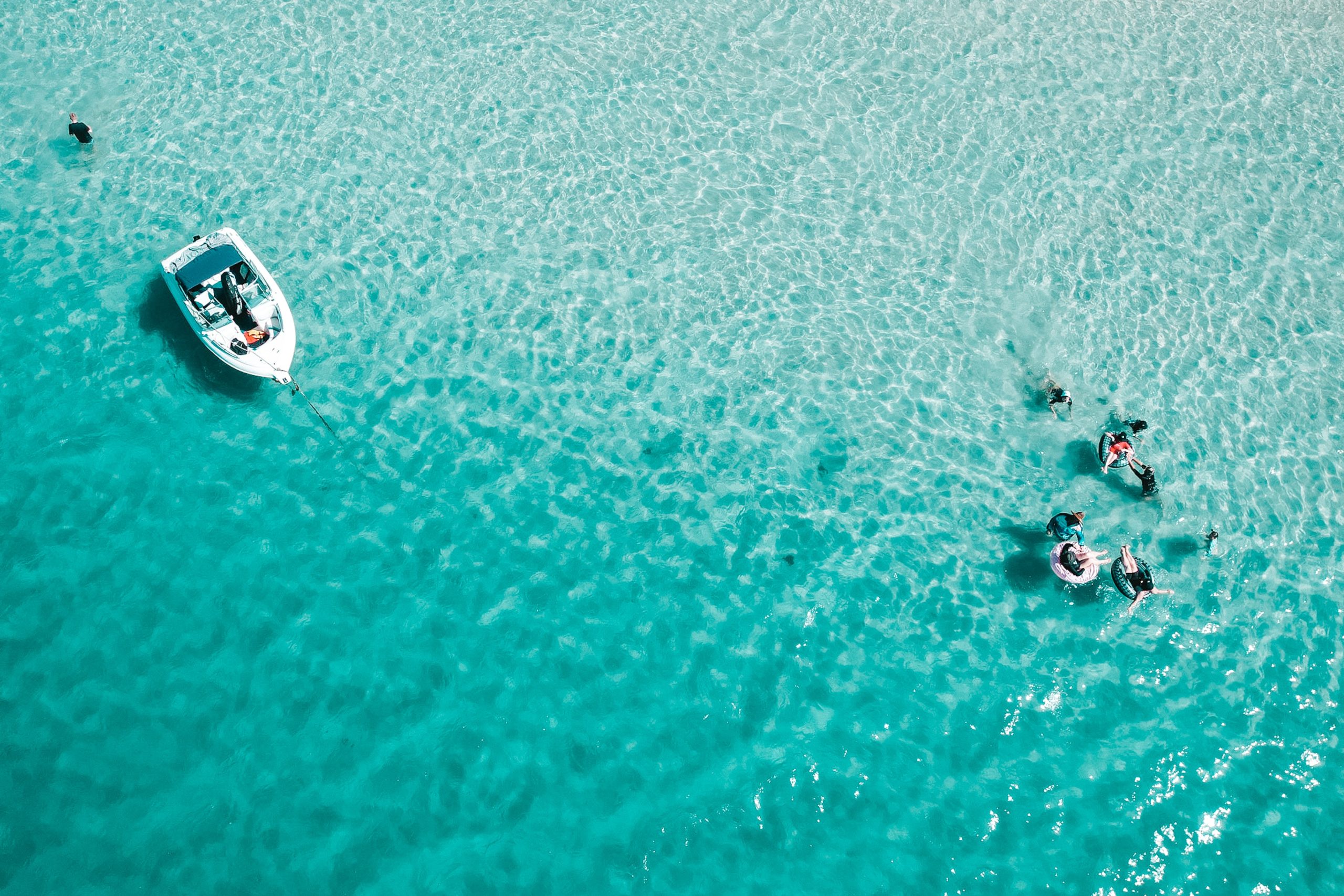 Activities and Attractions in and around Busselton