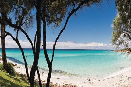 meelupbeach meelupbeach